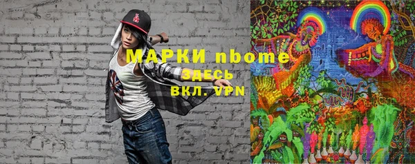 стаф Аркадак