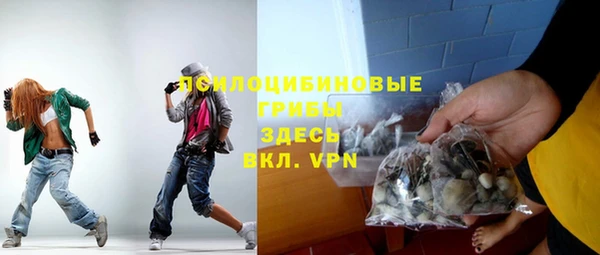 крисы Арсеньев