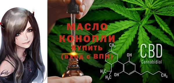 стаф Аркадак