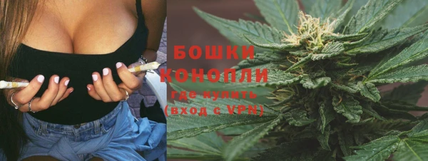 стаф Аркадак
