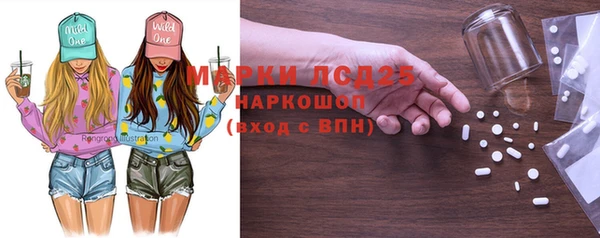 стаф Аркадак