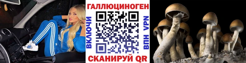 blacksprut вход  сколько стоит  Знаменск  Псилоцибиновые грибы ЛСД 